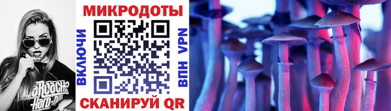 Галлюциногенные грибы Psilocybine cubensis  Заволжье 