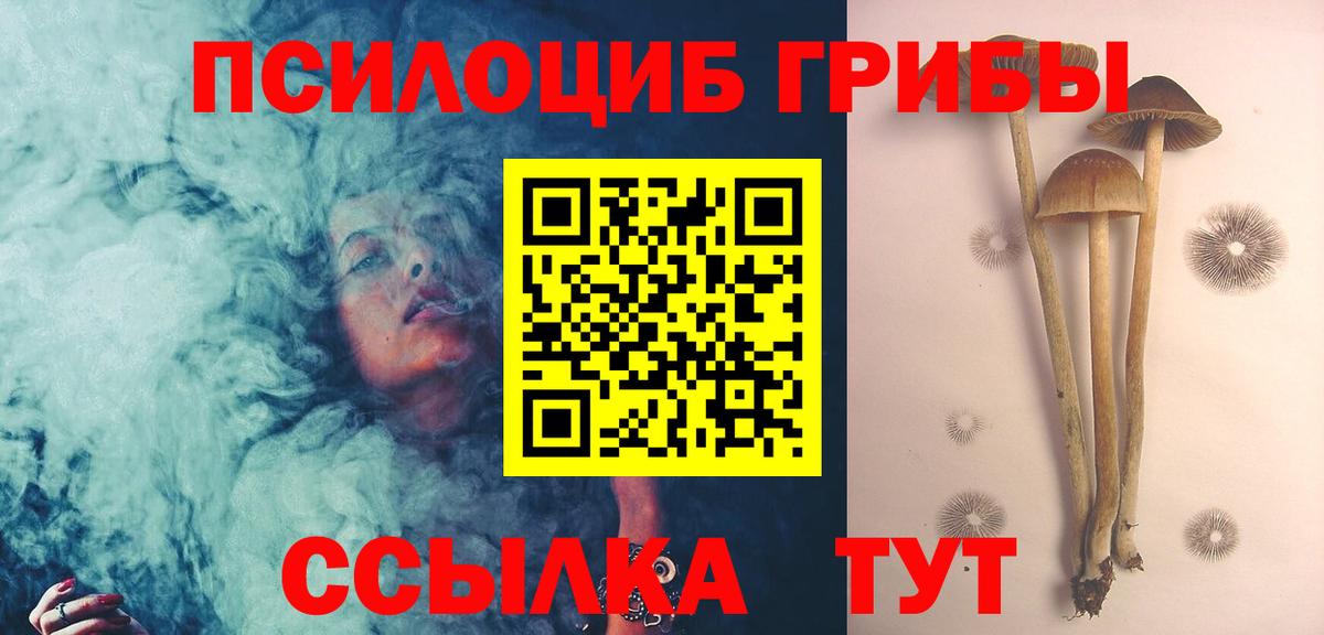 Галлюциногенные грибы MAGIC MUSHROOMS Заволжье